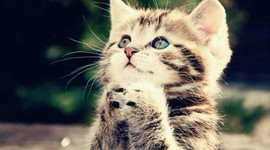 Timeline: 教育技术大事年表（Naomi Hu)