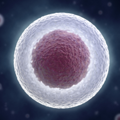Timeline: The Cell Theory