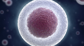 Timeline: The Cell Theory