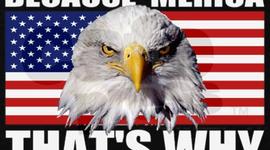 Timeline: American History I