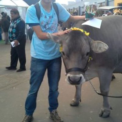 Timeline: PROYECTO DE VIDA