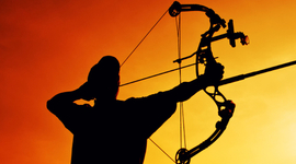 Timeline: Timeline of Archery (Most of the dates were not included on Wikipedia)