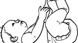 Timeline: ciclo de vida de Maria Gozalo Barrado