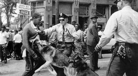 Timeline: The History of Police Brutality