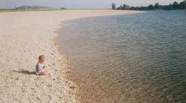 Timeline: Ciclo de vida. Alberto