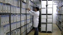 Timeline: Historia De La Gestión Documental