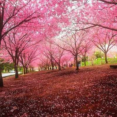 Timeline: Historia de la Psicología