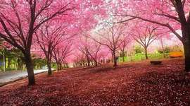 Timeline: Historia de la Psicología