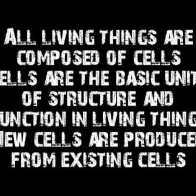 Timeline: The Evolution Of Cell Theory