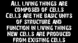 Timeline: The Evolution Of Cell Theory