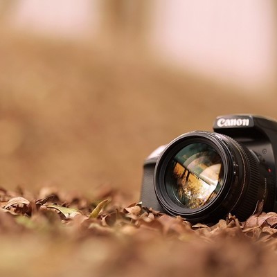 Timeline: Historia de la fotografia