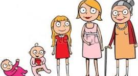 Timeline: Ciclo de Vida