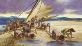 Timeline: Alternate Timeline