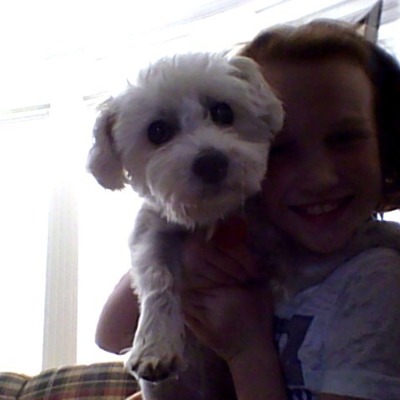 Timeline: LMS6- Emma Schmidt- Timeline