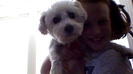 Timeline: LMS6- Emma Schmidt- Timeline