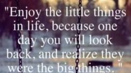 Timeline: Baby to Aulthood