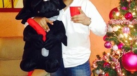 Timeline: Linea del Tiempo