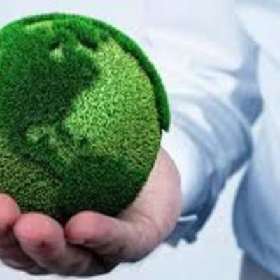 Timeline: Historia de la Ecología