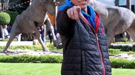 Timeline: Mi Linea del tiempo