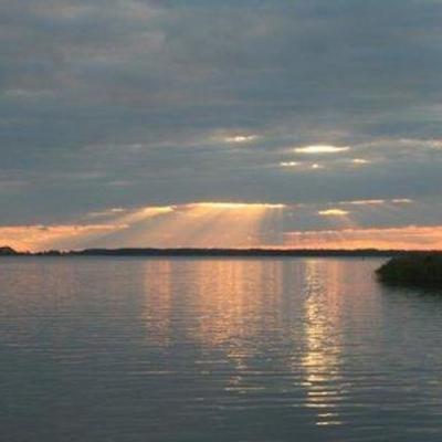 Timeline: History of Gifted Education