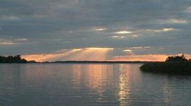 Timeline: History of Gifted Education