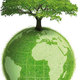 Eco