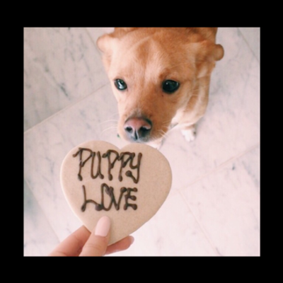 Timeline: Road to the revolution - Daniela 5th period