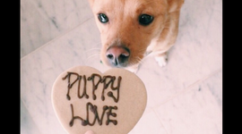 Timeline: Road to the revolution - Daniela 5th period