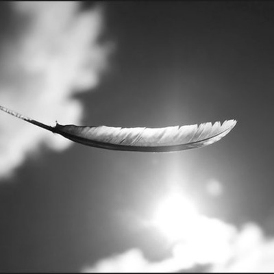 Timeline: LMS6-Alex Wexler-timeline