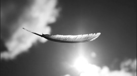 Timeline: LMS6-Alex Wexler-timeline