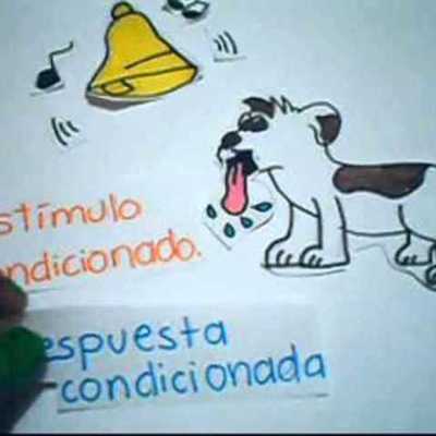 Timeline: Conductismo