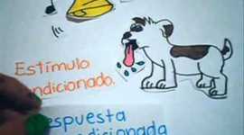 Timeline: Conductismo