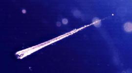 Timeline: Go big or Go Home Alex McGraw