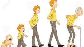 Timeline: Imaginary Stanley's Timeline