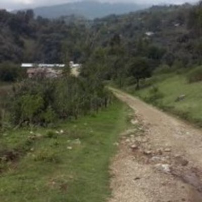 Timeline: Biografía escolar