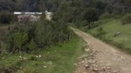 Timeline: Biografía escolar