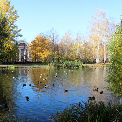 Timeline: Чудесные субботники