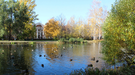 Timeline: Чудесные субботники