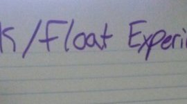 Timeline: Sink/Float Experiment