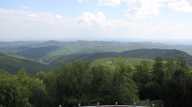 Timeline: Mi línea del tiempo