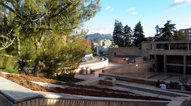 Timeline: Salud Escolar