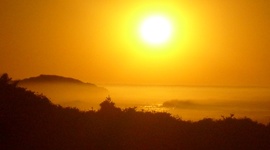 Timeline: Life cycle of a Monarch Butterfly