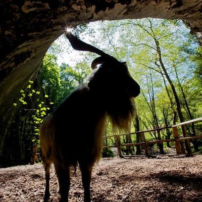 Timeline: ZUGARRAMURDI: Sorgiñen Herria