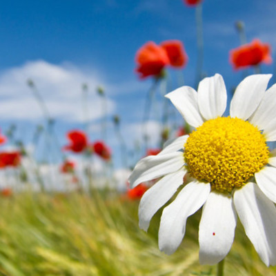 Timeline: All About Mrs. Binney