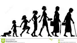 Timeline: Erikson's Stages of Psychosocial Development