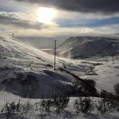 Timeline: Erikson's Psychosocial Theory