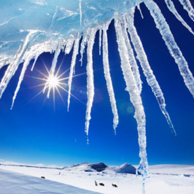 Timeline: Antarctica