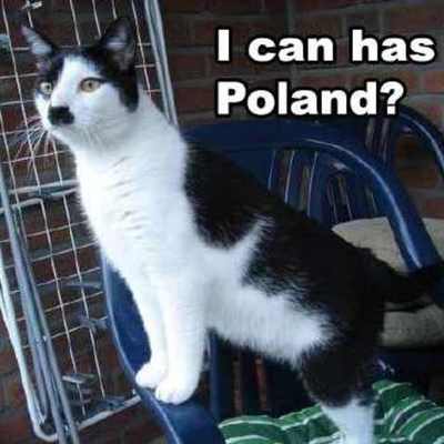 Timeline: WWII Outline