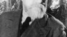 Timeline: Henri Matisse BEN