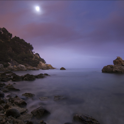 Timeline: Trajectòria personal i professional